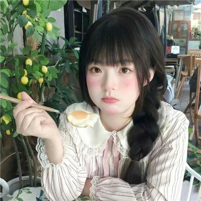 最后的雨林